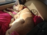 more campervan photos